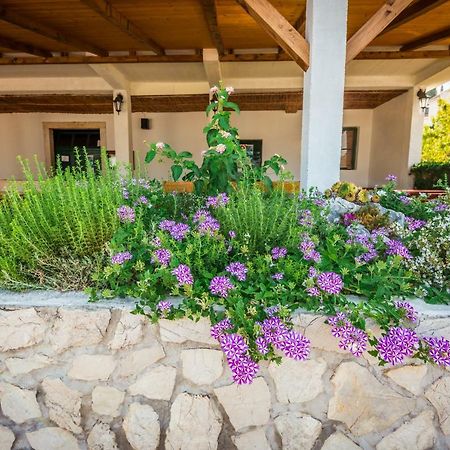 Apartments Galeb Blace Zewnętrze zdjęcie